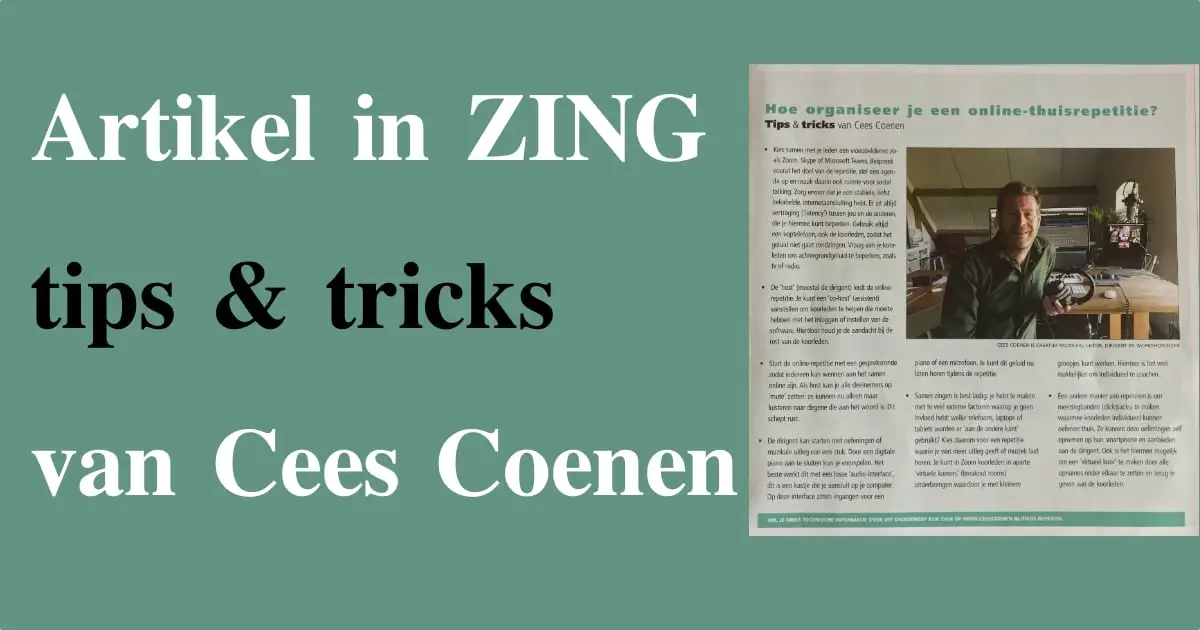 Afbeelding bij artikel ZING.